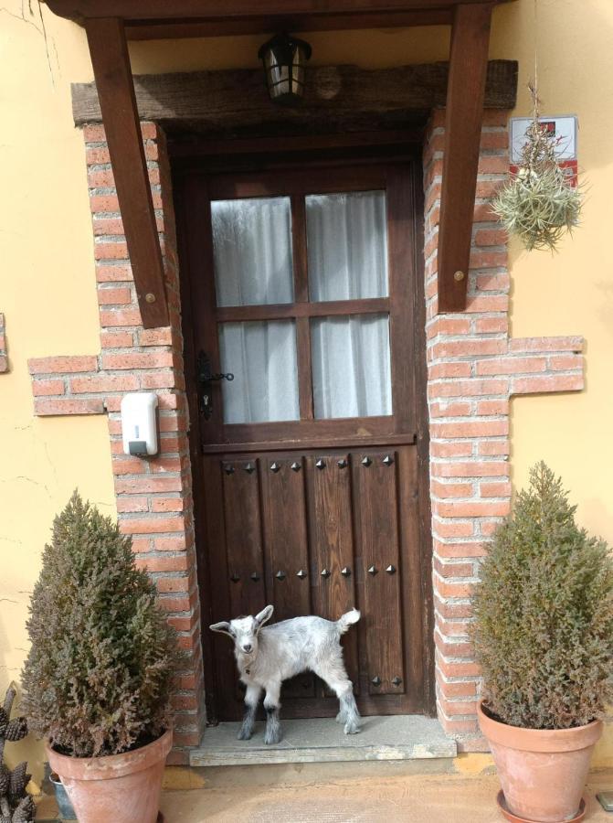 Ferienwohnung Carroceu Rural Onís Exterior foto